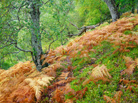 20231008-Dhivach-OM019729