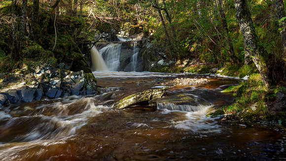 Neaty Burn