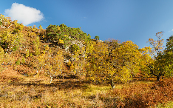 20231022-Glen Strathfarrar-EM127513
