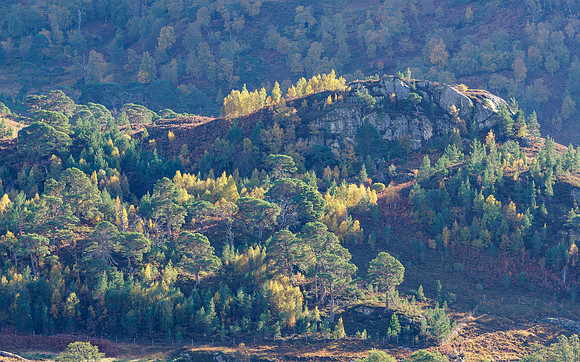 20231022-Glen Strathfarrar-EM122671
