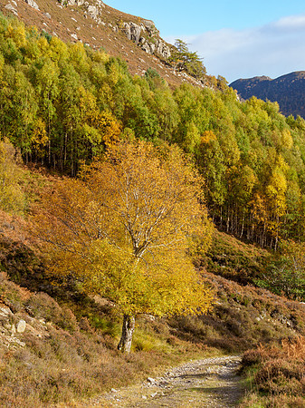 20231022-Glen Strathfarrar-EM122679