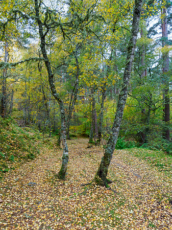 20231029-Balmacaan-OM012669