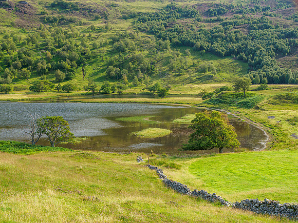 20210828-Glen Strathfarrar-EM120271