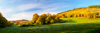 Autumn Balmacaan Colour
