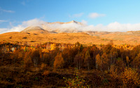 Eighe for Autumn