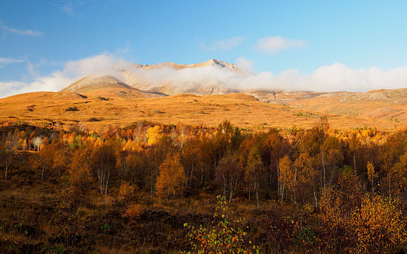 Eighe for Autumn