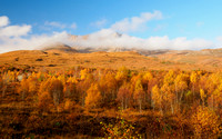 Eighe for Autumn