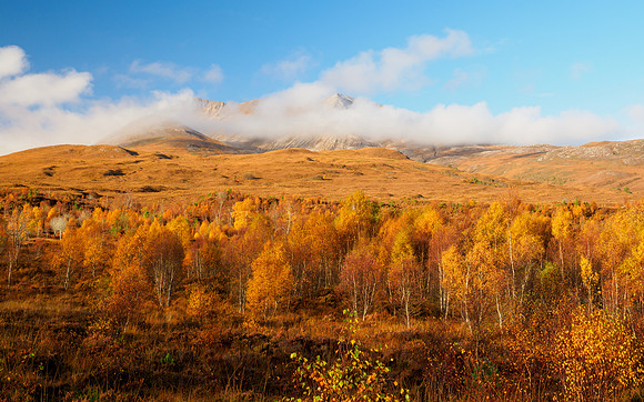 Eighe for Autumn