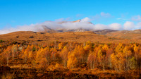 Eighe for Autumn