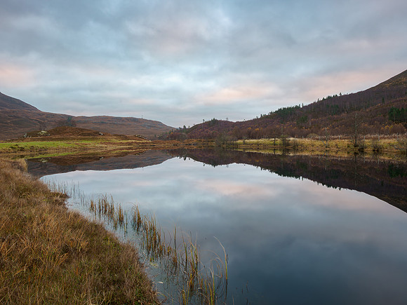 20241109-Glen Cannich-M12A9846-Enhanced-NR