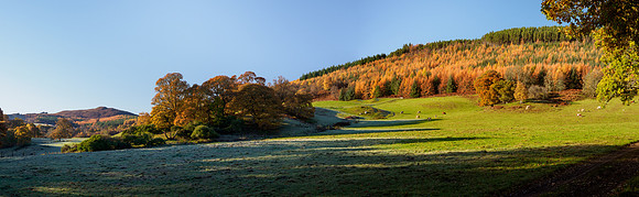 Balmacaan