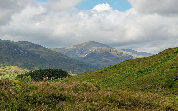 Glen Cannich