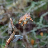 20231201-Garden-DxO_OM014936-ORF_XDS
