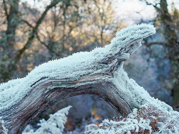Frozen Arch