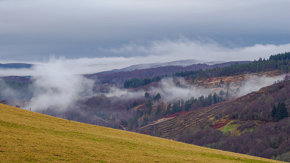 The view to Polmaily from the edge of Crigmonie Wood, taken on the daily dogwalk.
