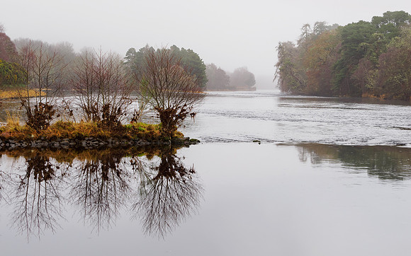Misty Ness