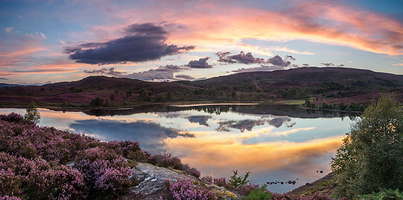 Time for Reflection
