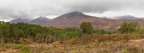 Glen Affric Pines and Munros