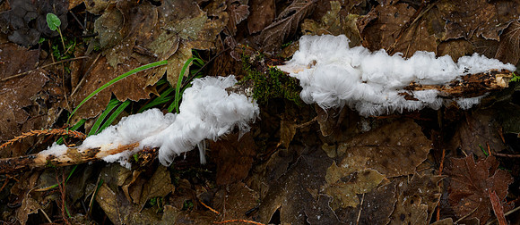 20231230-Balmacaan-OM016809-Pano