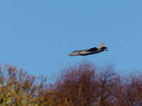Lockheed Martin F-35A Lightning II