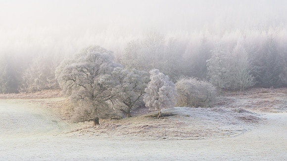 Frost & Mist