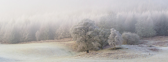 Frost & Mist