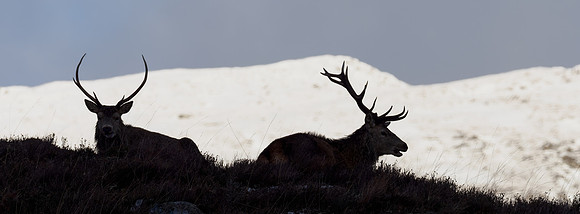 20231229-Glen Cannich-OM016781-ORF_XDS