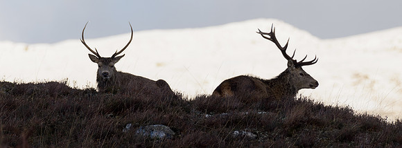 20231229-Glen Cannich-OM016802-ORF_XDS