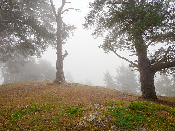 The No View Viewpoint