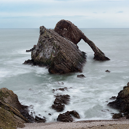 Grumpy Sea Monster