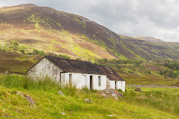 Liatrie, Glen Cannich