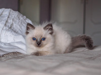 20191102-Marley-EM521739