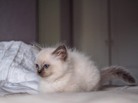 20191102-Marley-EM521740