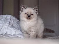 20191102-Marley-EM521741