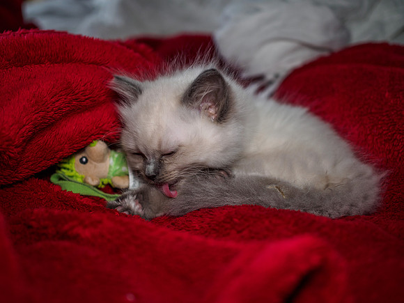 20191102-Marley-EM521749