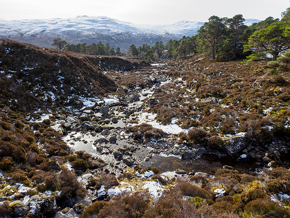 Glen Cannich