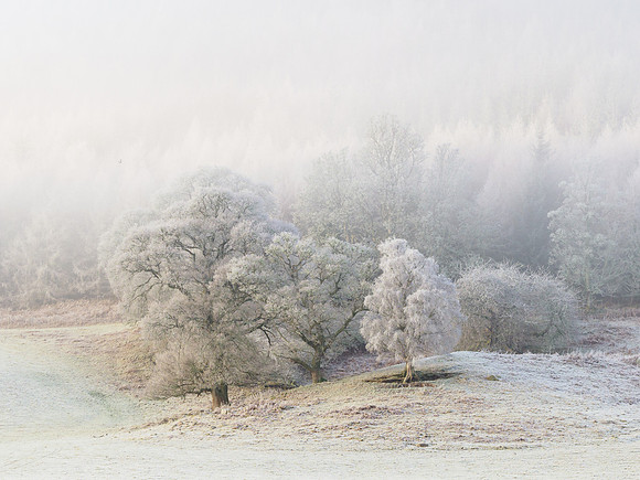 2024-01 A Winter Scene