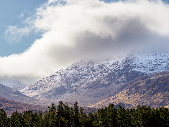 Light in the Glen