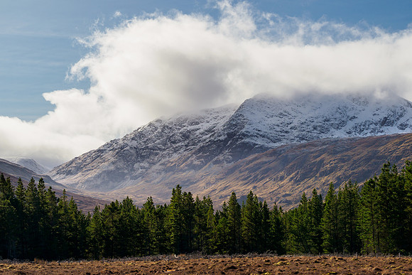 Light in the Glen