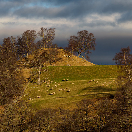 Doune of Dalmore