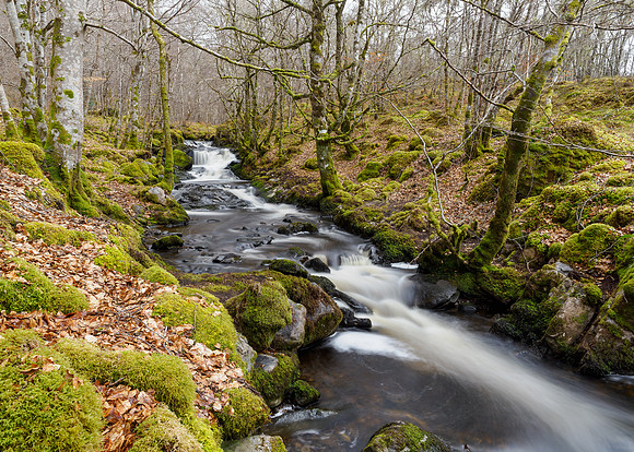 Eskadale Burn