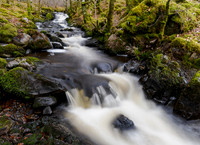 DxO_20240330-Glen Strathfarrar-OM014368-ORF_DPS