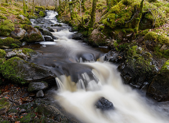 DxO_20240330-Glen Strathfarrar-OM014368-ORF_DPS