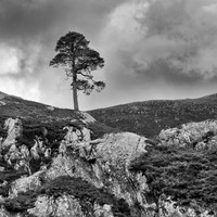 20240330-Glen Strathfarrar-OM014360-Edit-2