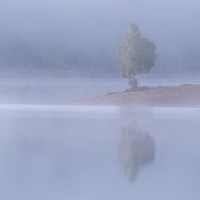 Smoke on the Water