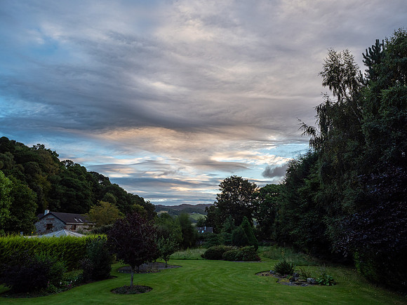20200908-Garden-EM129712