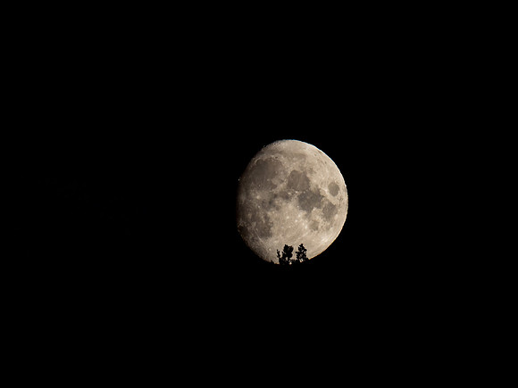 20200928-Moon-EM122101