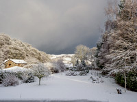 Garden Snow
