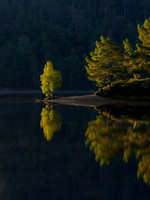 First Light