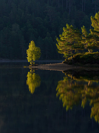 First Light